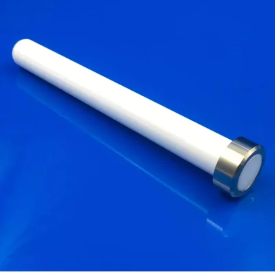 Zirconia Ceramic Plunger for High-Pressure Waterjet Cutting Systems - φ28.8*207mm