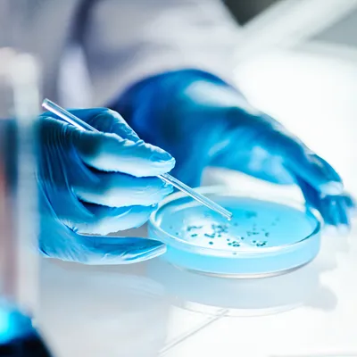 Research & Labs