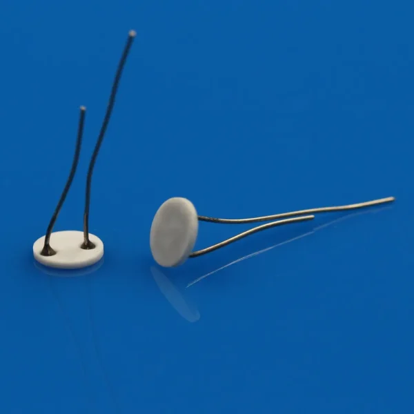 Miniature Disc-Type Alumina Ceramic MCH Heating Element With Leads (1)