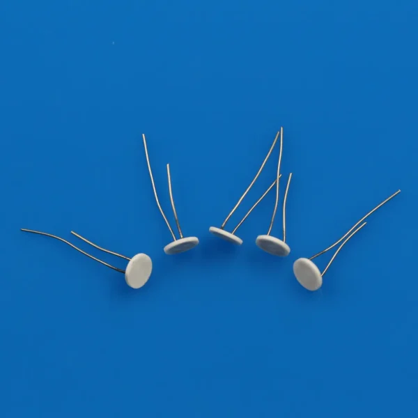 Miniature Disc-Type Alumina Ceramic MCH Heating Element With Leads (5)