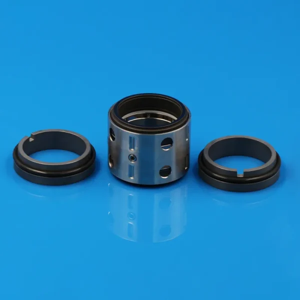 Multi-Spring Double Mechanical Seal For Industrial Pumps (5)