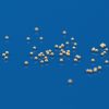 ZTA Ceramic Grinding Ball TZ45 (4)