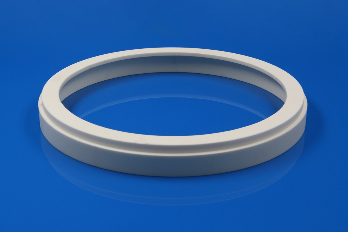 Alumina Ceramic Focus Rings