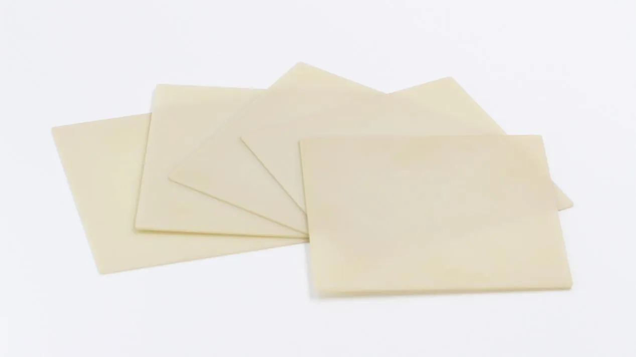 Aluminum Nitride (AlN) Ceramic Substrates