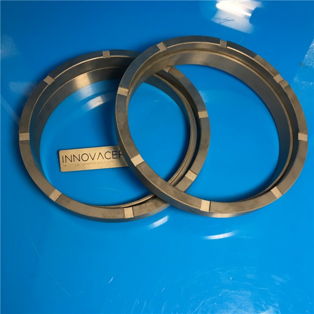 SiC Double End Face Mechanical Seal Rings