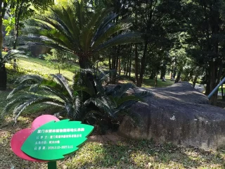 作为履行ESG承诺的一部分 Innovacera在厦门植物园认养了50棵树木