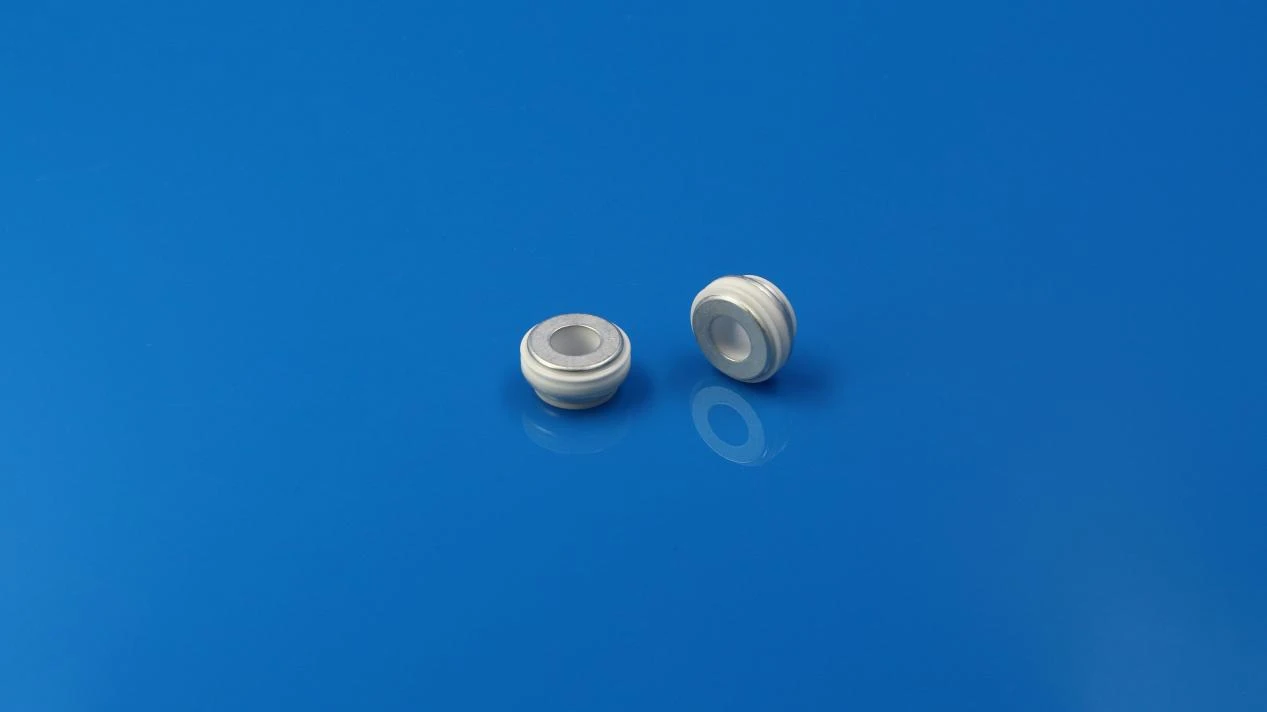 Alumina metallized ring